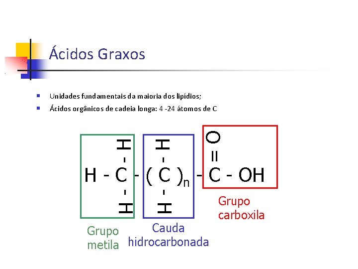 Ácidos Graxos Ácidos orgânicos de cadeia longa: 4 -24 átomos de C -H -H