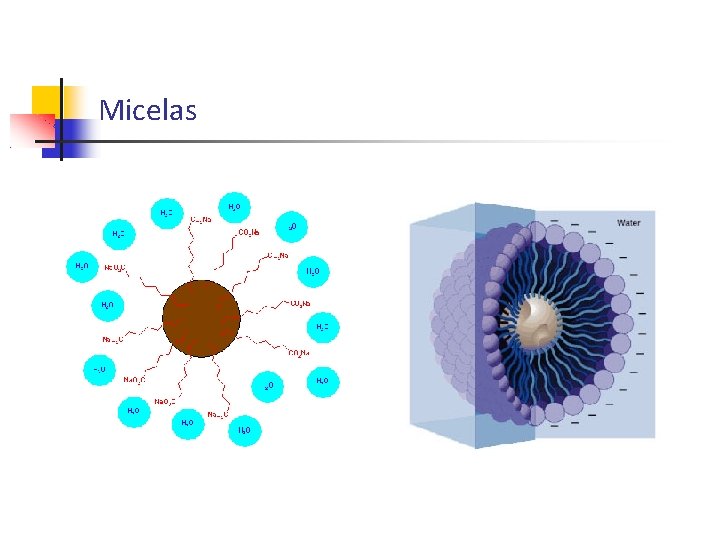 Micelas 