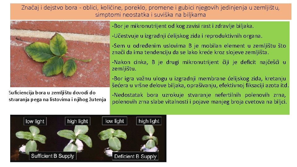 Značaj i dejstvo bora - oblici, količine, poreklo, promene i gubici njegovih jedinjenja u