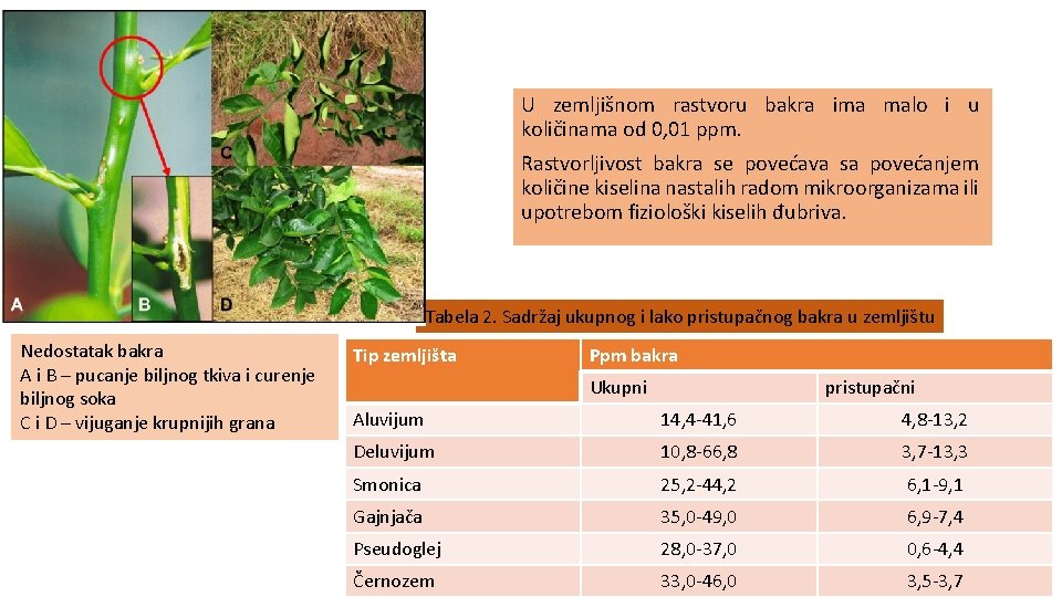 U zemljišnom rastvoru bakra ima malo i u količinama od 0, 01 ppm. Rastvorljivost