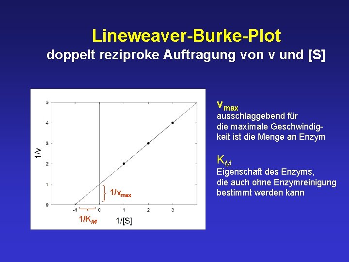 Lineweaver-Burke-Plot doppelt reziproke Auftragung von v und [S] vmax ausschlaggebend für die maximale Geschwindigkeit