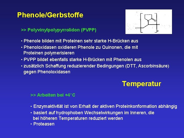 Phenole/Gerbstoffe >> Polyvinylpolypyrrolidon (PVPP) • Phenole bilden mit Proteinen sehr starke H-Brücken aus •