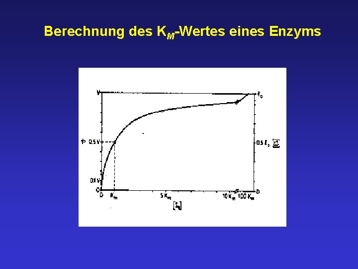 Berechnung des KM-Wertes eines Enzyms 