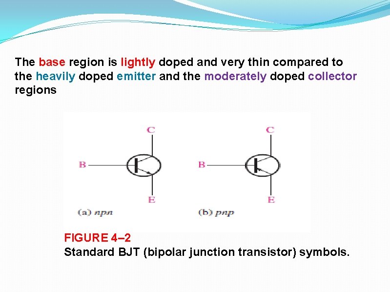 The base region is lightly doped and very thin compared to the heavily doped