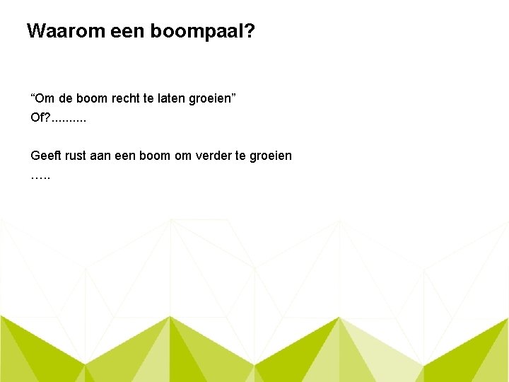 Waarom een boompaal? “Om de boom recht te laten groeien” Of? . . Geeft