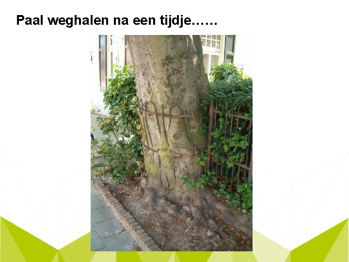 Paal weghalen na een tijdje…… 