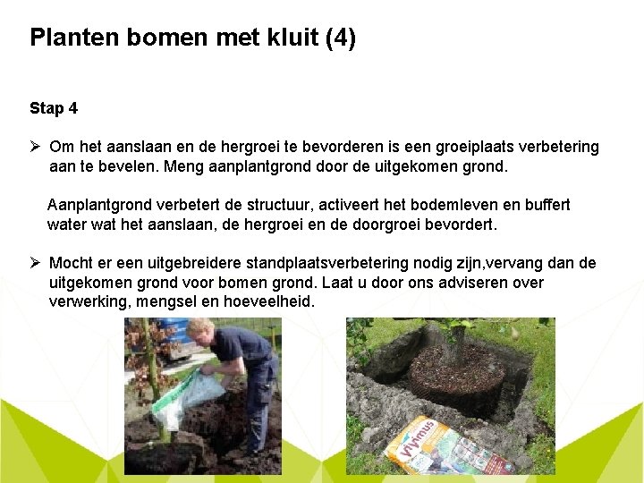 Planten bomen met kluit (4) Stap 4 Ø Om het aanslaan en de hergroei