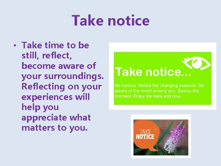 Take notice • Take time to be still, reflect, become aware of your surroundings.