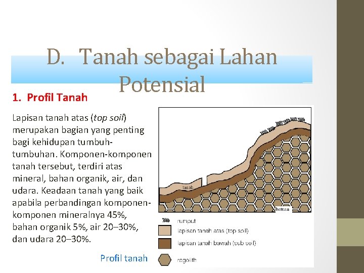 D. Tanah sebagai Lahan Potensial 1. Profil Tanah Lapisan tanah atas (top soil) merupakan