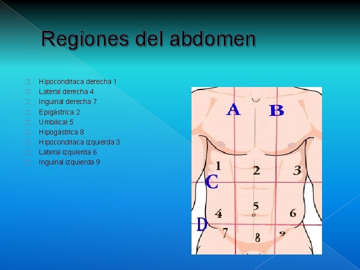 Regiones del abdomen � � � � � Hipocondriaca derecha 1 Lateral derecha 4