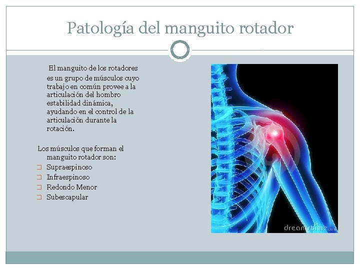 Patología del manguito rotador El manguito de los rotadores es un grupo de músculos