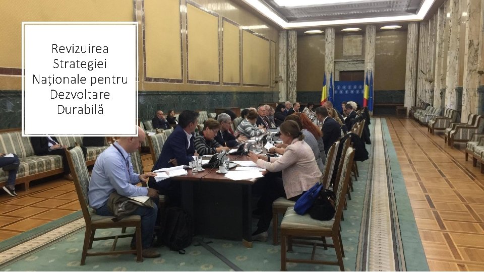 Revizuirea Strategiei Naționale pentru Dezvoltare Durabilă 