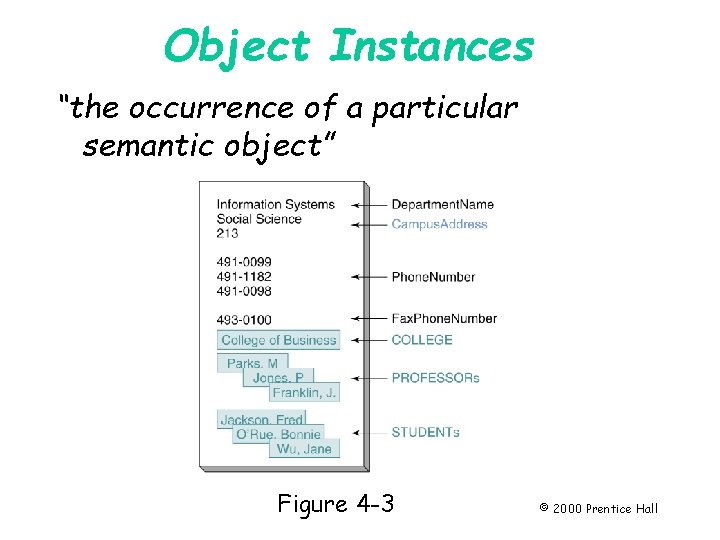Object Instances “the occurrence of a particular semantic object” Page 77 Figure 4 -3