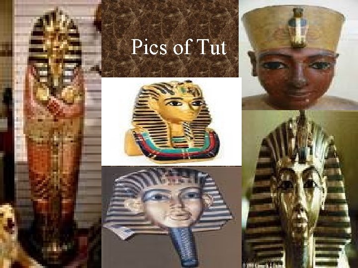 Pics of Tut 