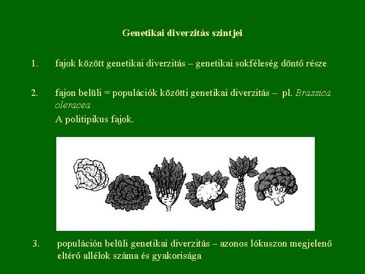 Genetikai diverzitás szintjei 1. fajok között genetikai diverzitás – genetikai sokféleség döntő része 2.