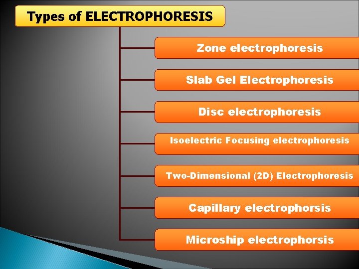 Types of ELECTROPHORESIS Zone electrophoresis Slab Gel Electrophoresis Disc electrophoresis lsoelectric Focusing electrophoresis Two-Dimensional