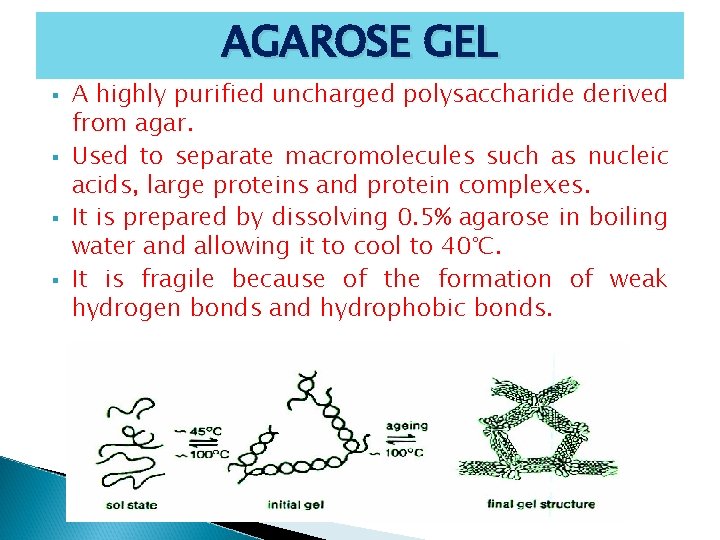 AGAROSE GEL § § A highly purified uncharged polysaccharide derived from agar. Used to