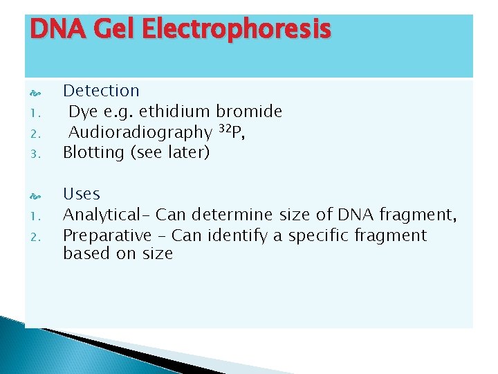 DNA Gel Electrophoresis 1. 2. 3. 1. 2. Detection Dye e. g. ethidium bromide