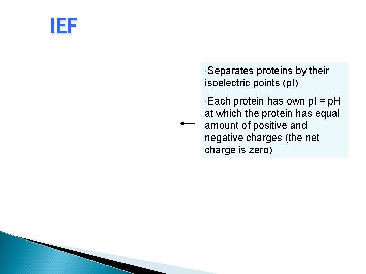 IEF Separates proteins by their isoelectric points (p. I) Each protein has own p.