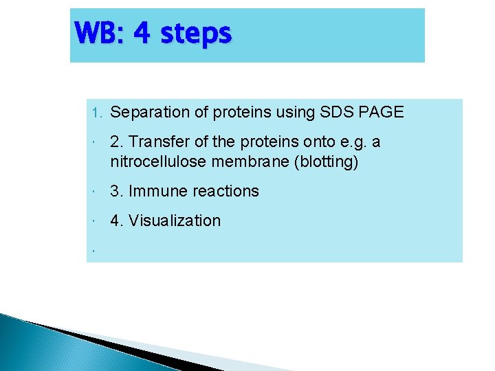 WB: 4 steps 1. Separation of proteins using SDS PAGE 2. Transfer of the