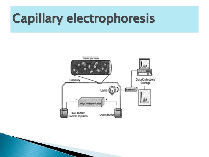 Capillary electrophoresis 