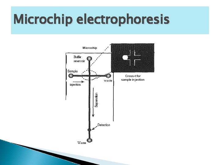 Microchip electrophoresis 