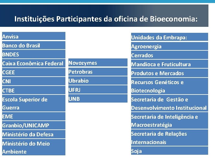 Instituições Participantes da oficina de Bioeconomia: Anvisa Unidades da Embrapa: Banco do Brasil Agroenergia