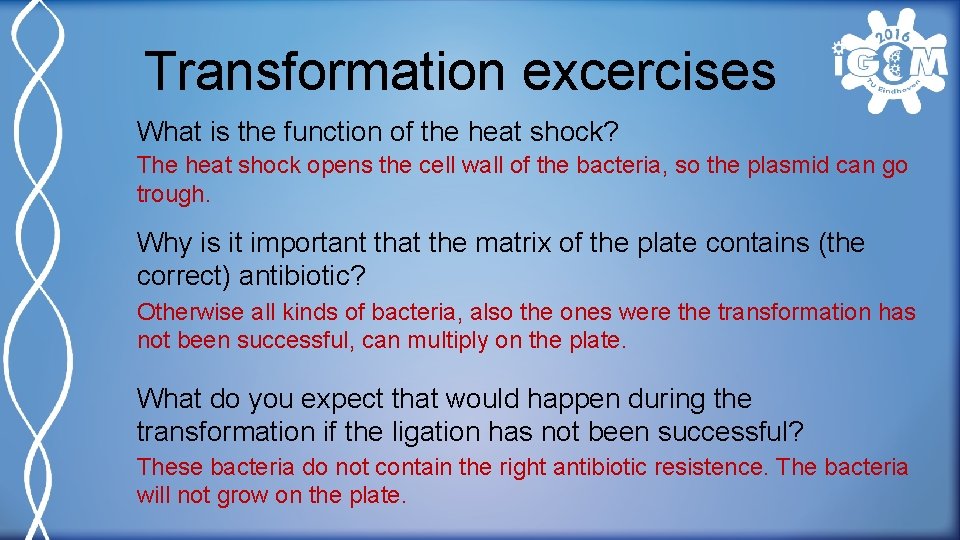 Transformation excercises What is the function of the heat shock? The heat shock opens