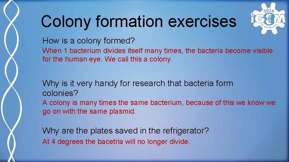 Colony formation exercises How is a colony formed? When 1 bacterium divides itself many