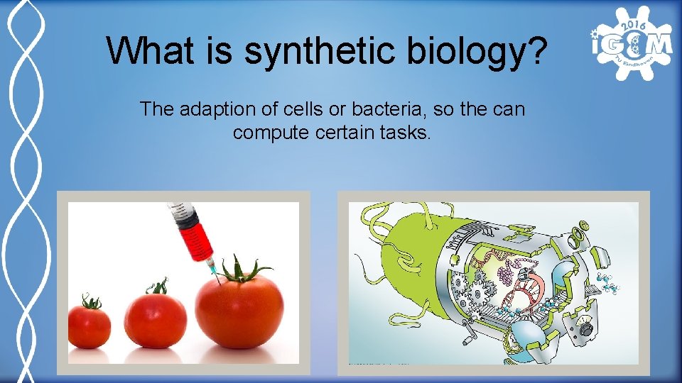 What is synthetic biology? The adaption of cells or bacteria, so the can compute