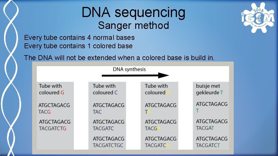 DNA sequencing Sanger method Every tube contains 4 normal bases Every tube contains 1
