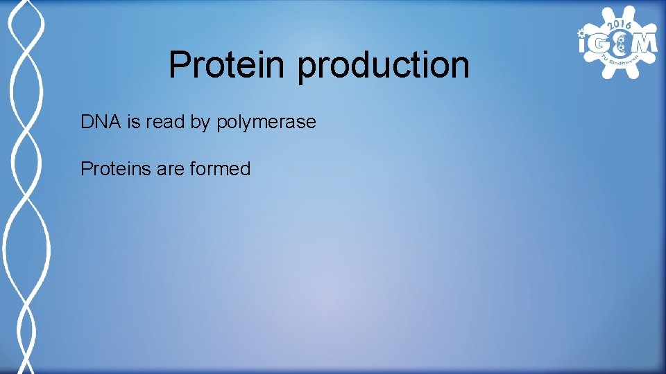 Protein production DNA is read by polymerase Proteins are formed 