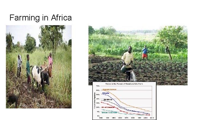 Farming in Africa 