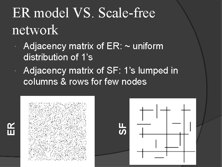 ER model VS. Scale-free network Adjacency matrix of ER: ~ uniform distribution of 1’s