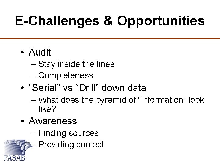 E-Challenges & Opportunities • Audit – Stay inside the lines – Completeness • “Serial”