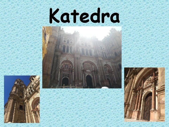 Katedra 