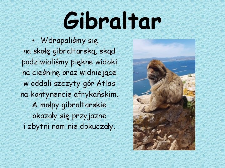 Gibraltar • Wdrapaliśmy się na skałę gibraltarską, skąd podziwialiśmy piękne widoki na cieśninę oraz