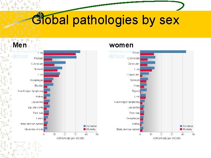 Global pathologies by sex Men women 