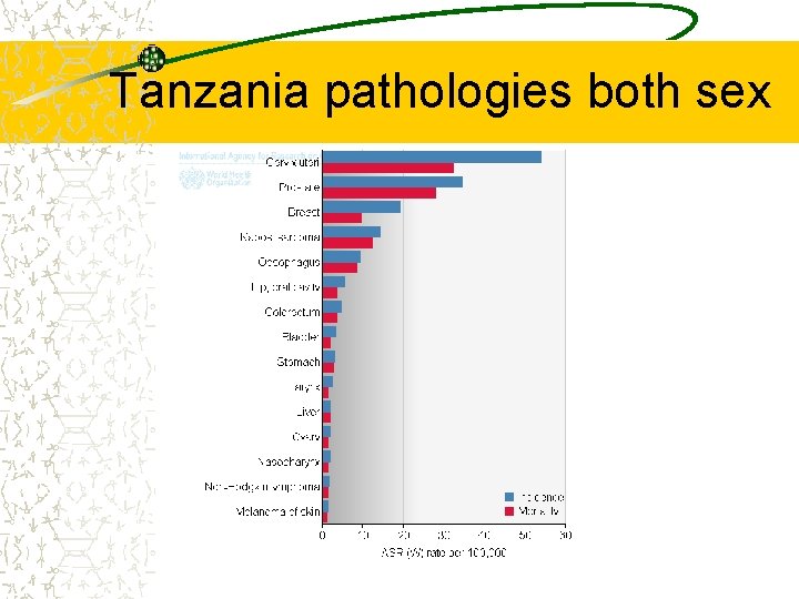 Tanzania pathologies both sex 