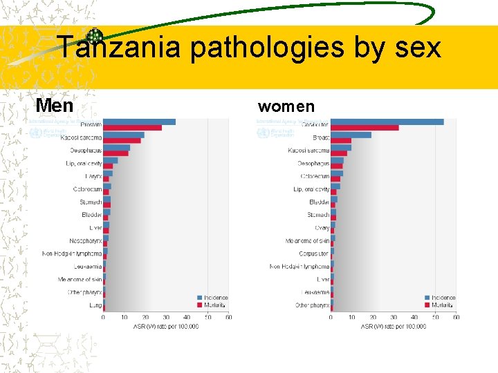 Tanzania pathologies by sex Men women 