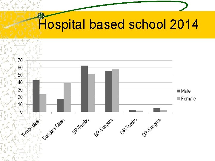 Hospital based school 2014 