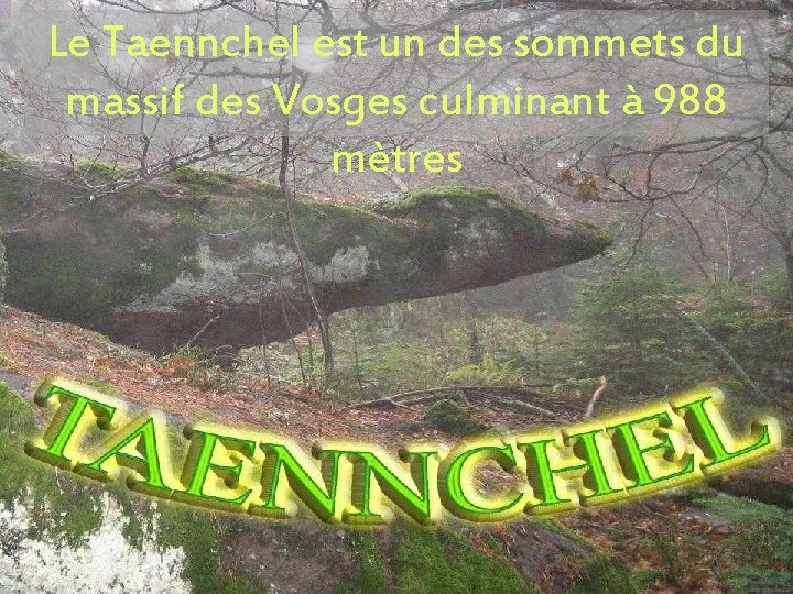 Le Taennchel est un des sommets du massif des Vosges culminant à 988 mètres
