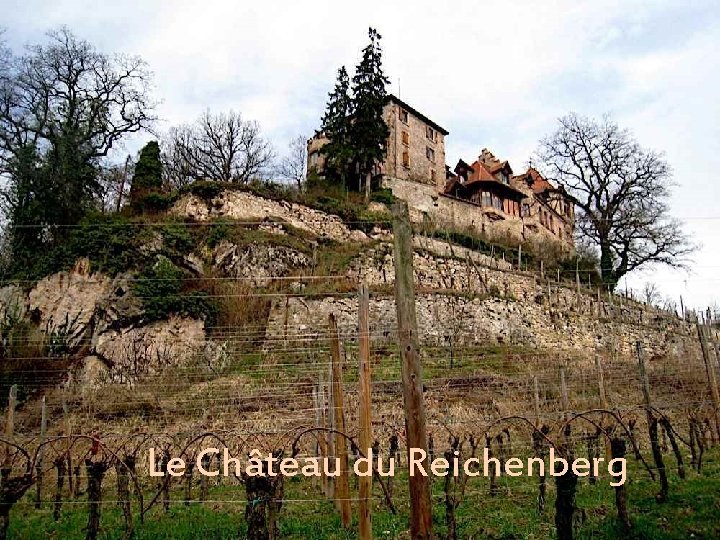 Le Château du Reichenberg 