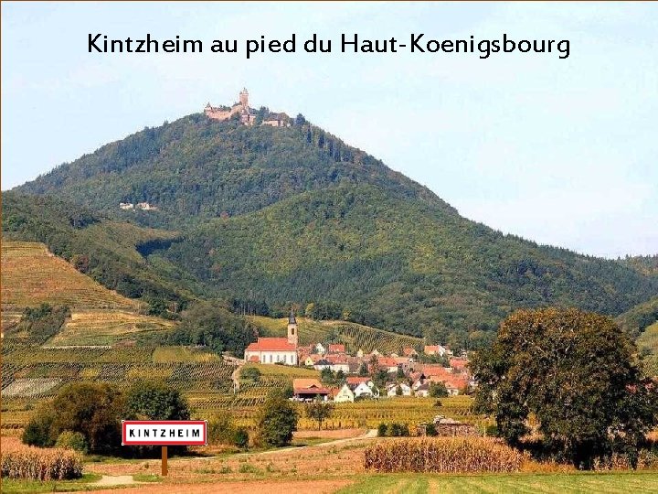 Kintzheim au pied du Haut-Koenigsbourg 