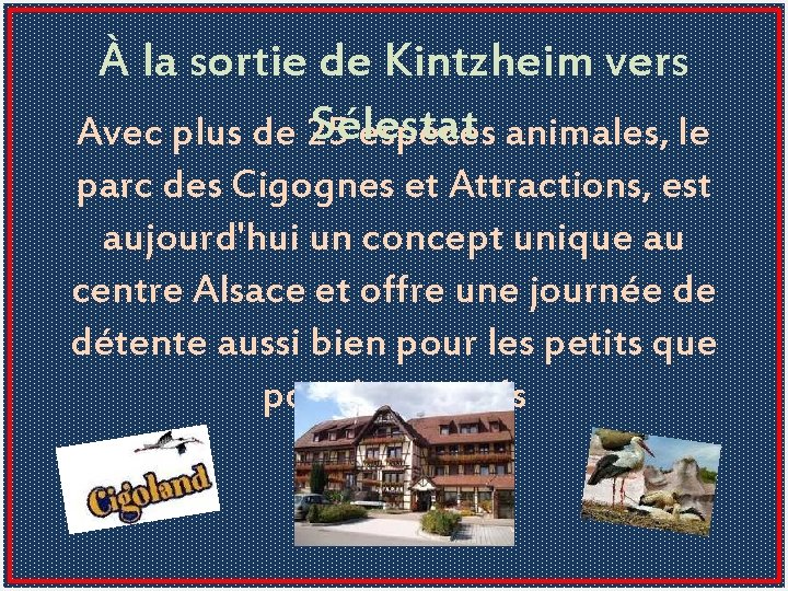 À la sortie de Kintzheim vers Sélestat Avec plus de 25 espèces animales, le