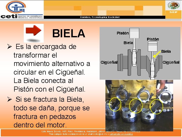 BIELA Ø Es la encargada de transformar el movimiento alternativo a circular en el