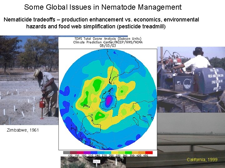Some Global Issues in Nematode Management Nematicide tradeoffs – production enhancement vs. economics, environmental