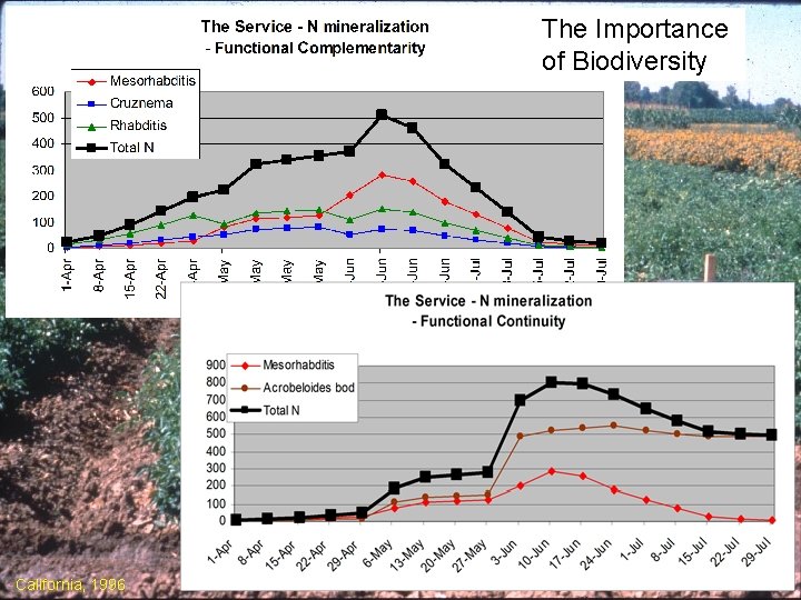 The Importance of Biodiversity California, 1996 