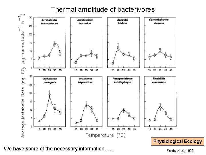Thermal amplitude of bacterivores Physiological Ecology We have some of the necessary information…… Ferris Thermal amplitude of bacterivores Physiological Ecology We have some of the necessary information…… Ferris