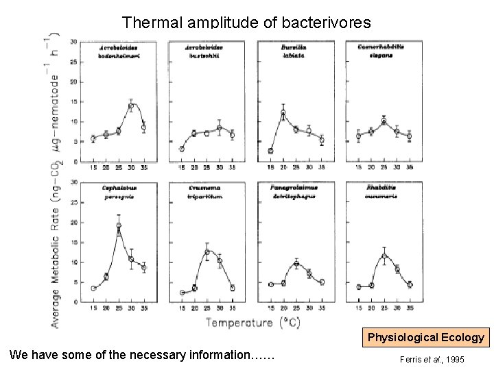 Thermal amplitude of bacterivores Physiological Ecology We have some of the necessary information…… Ferris